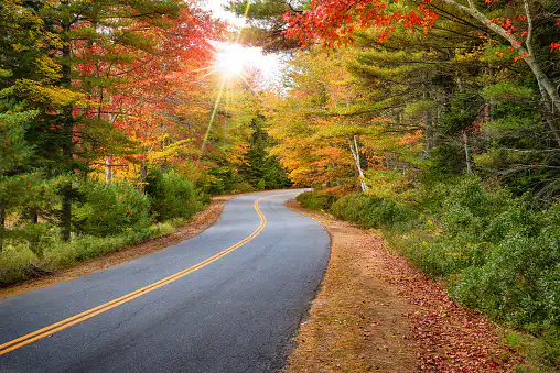Winding road curves through autumn trees in New England