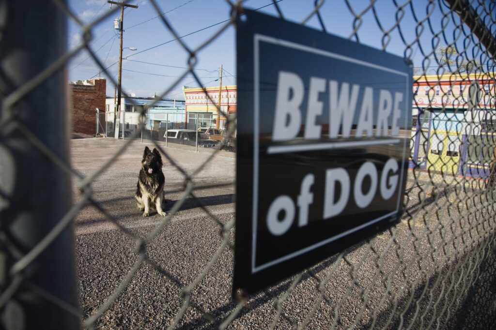 dog bite lawyer Omaha, NE